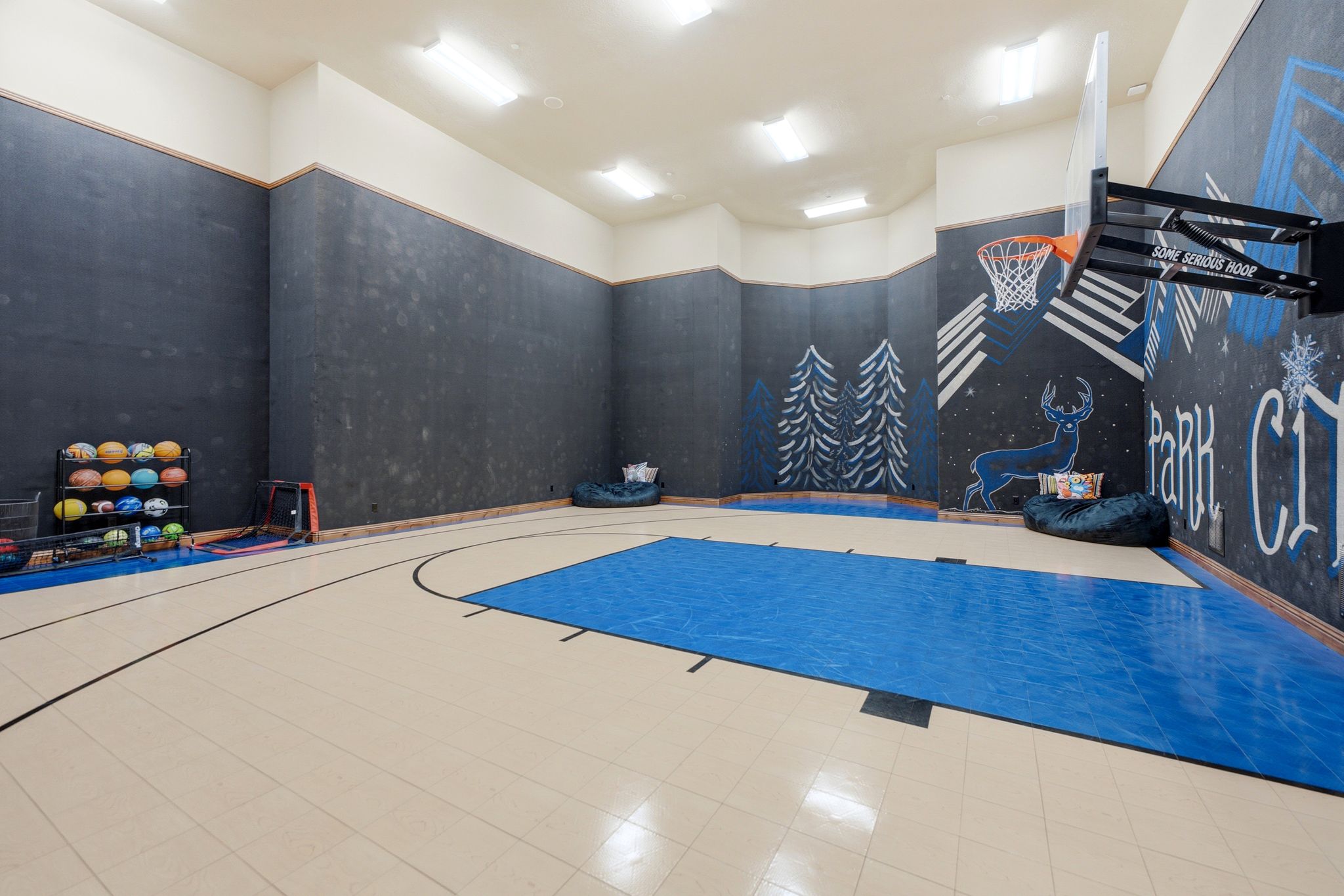 Dedicated indoor recreational space featuring a partial court with marked lines and a vibrant blue playing surface
