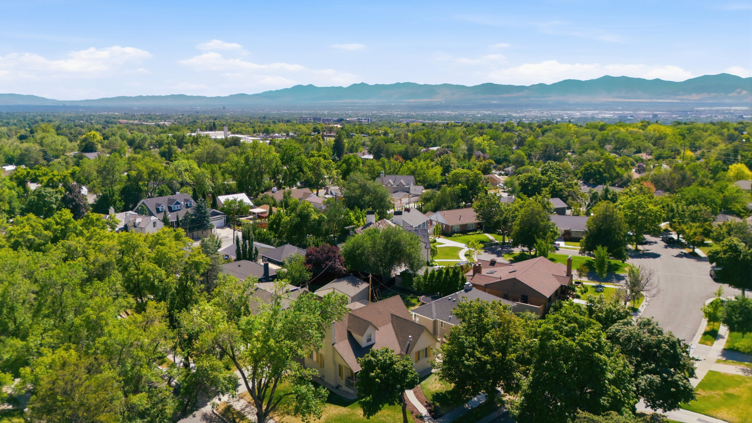 Expansive aerial perspective showcasing a verdant residential area with mature tree canopies and mountain backdrop
