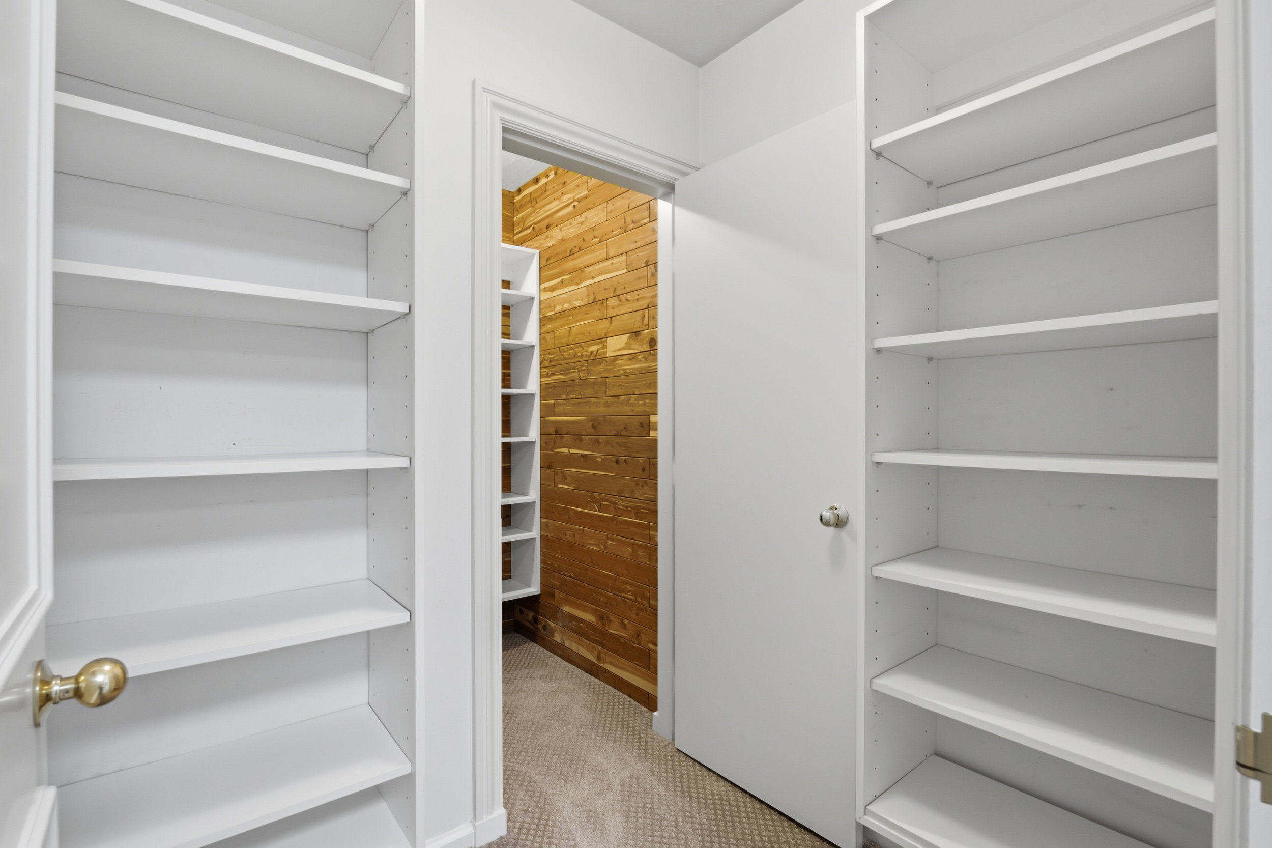 Laundry Rm Closet and shelving